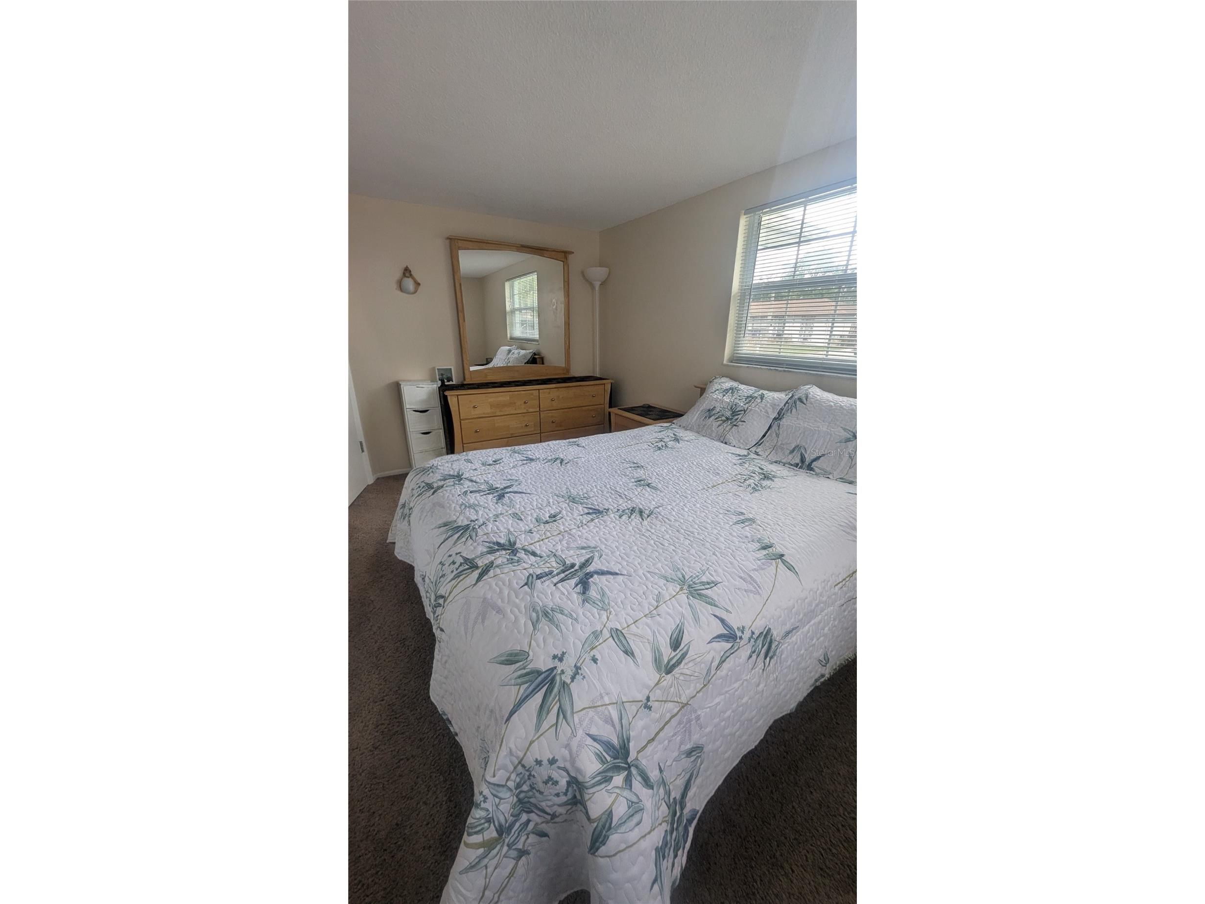 9136 Lunar Lane Port Richey FL 34668 W7884257 image8