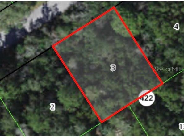 9136 N Golfview Drive Citrus Springs FL 34434 A4578314 image1