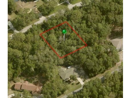 9136 N Golfview Drive Citrus Springs FL 34434 OM666163 image1