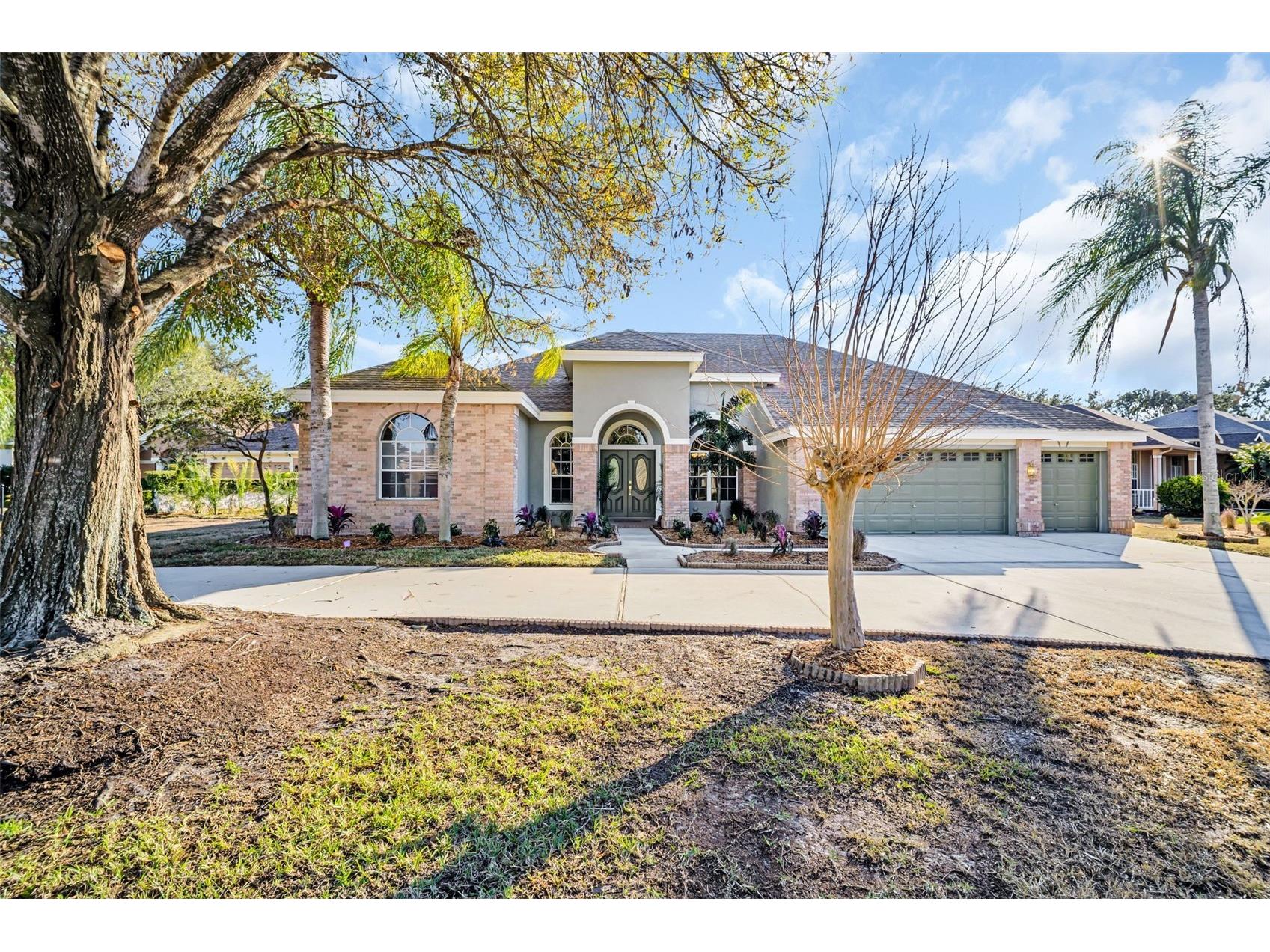 9138 Callaway Drive Trinity FL 34655 TB8471480 image1