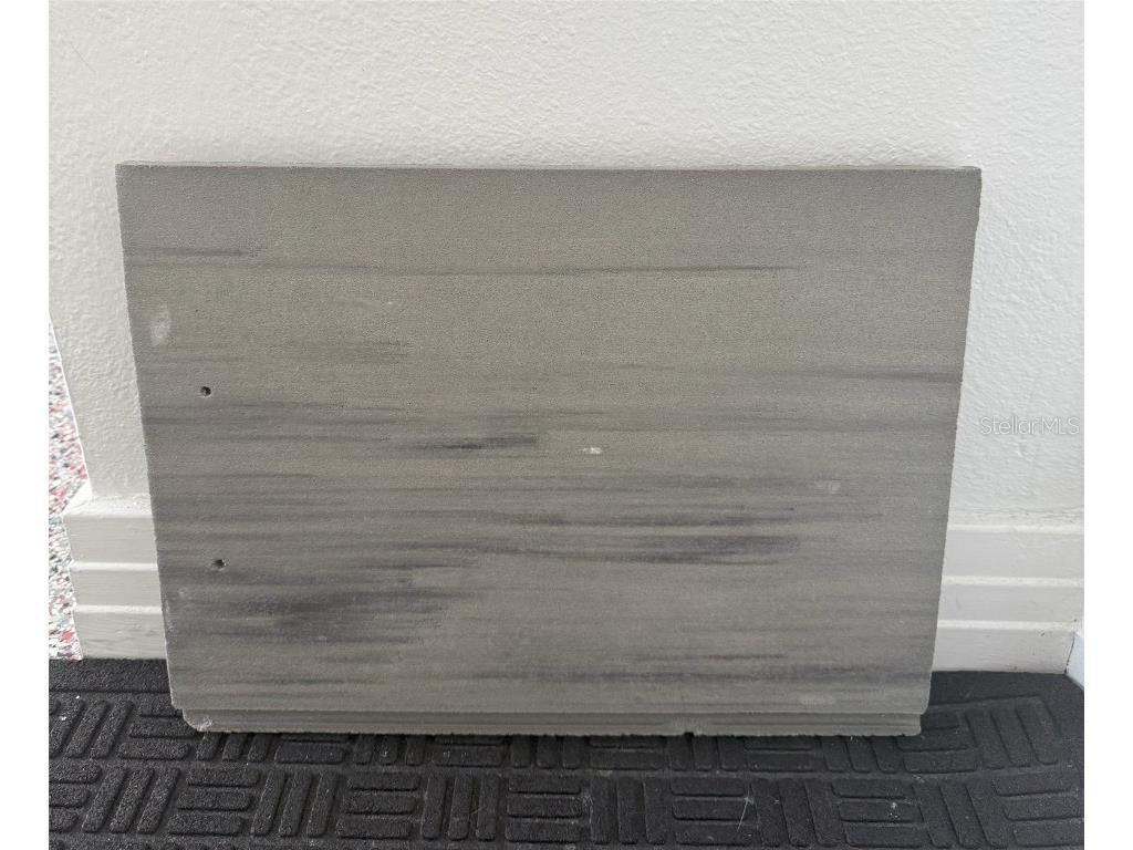 9138 Great Heron Circle Orlando FL 32836 - LAKE SHEEN O6315245 image77