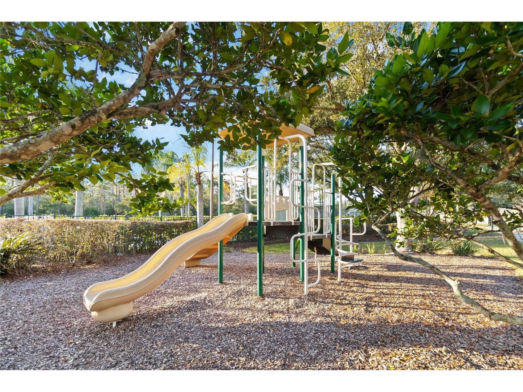 9138 Shadowbrook Trail Orlando FL 32825 O6365152 image43