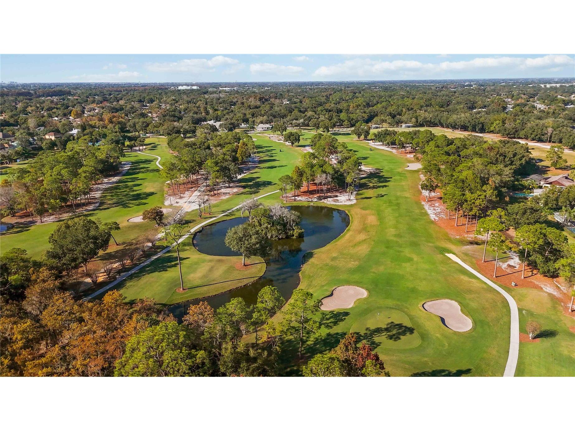 9138 Shadowbrook Trail Orlando FL 32825 O6365152 image46