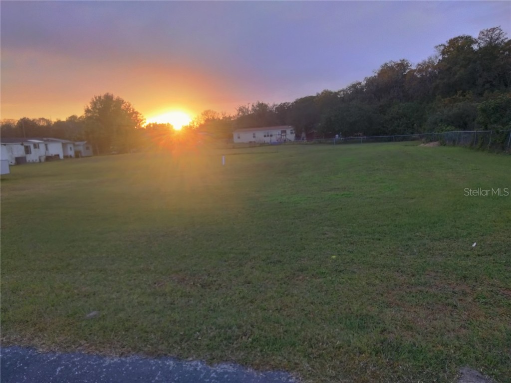 9138 Wood Terrace Drive Tampa FL 33637 TB8316484 image2