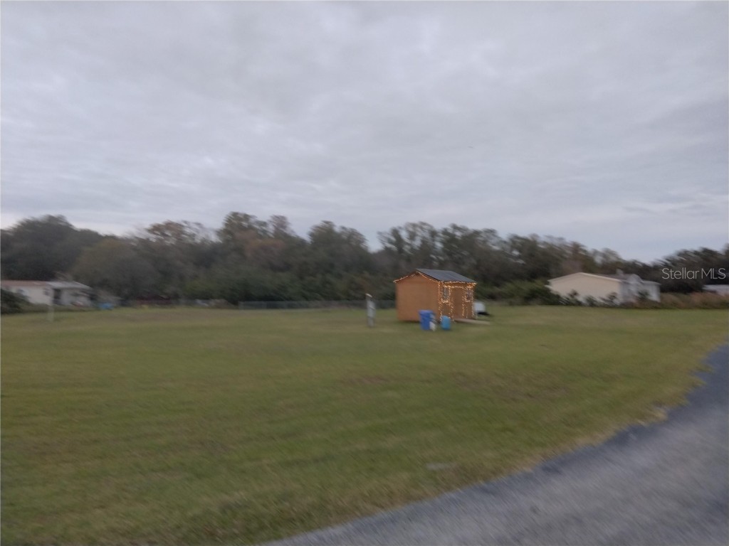 9138 Wood Terrace Drive Tampa FL 33637 TB8316484 image3