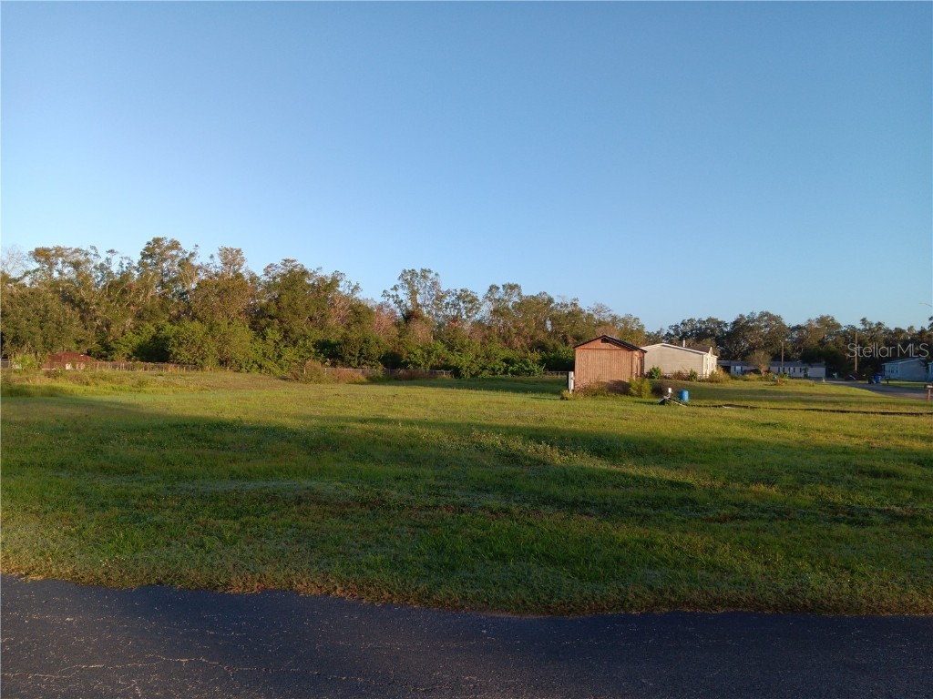 9138 Wood Terrace Drive Tampa FL 33637 TB8316484 image5
