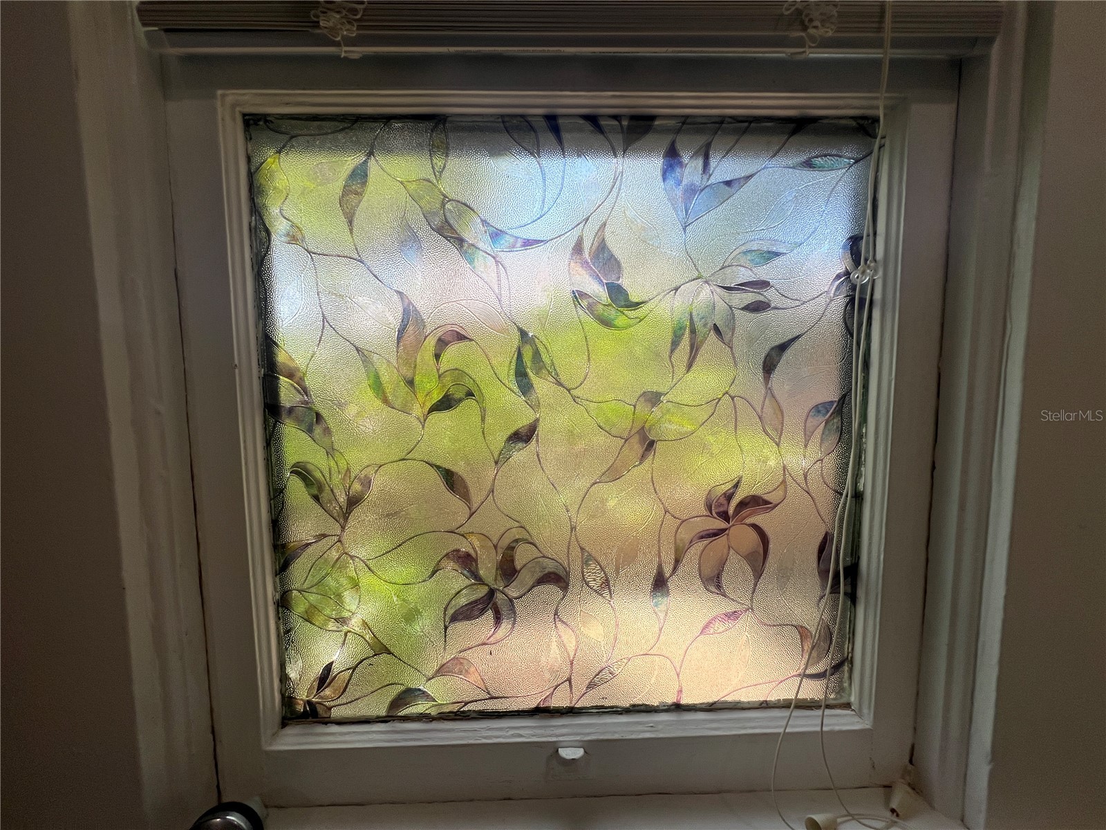 914 17th Street W Bradenton FL 34205 A4680562 image18