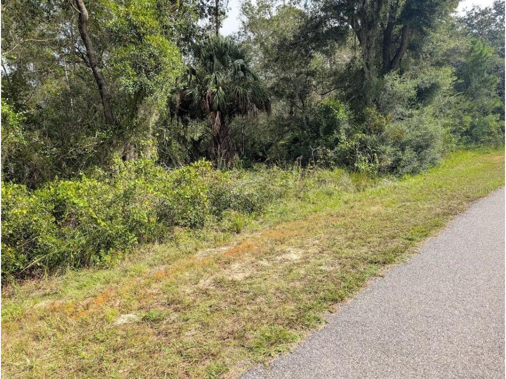 914 & 916 Poinciana Drive Indian Lake Estates FL 33855 - LAKE WALK-IN-WATER TB8433592 image3