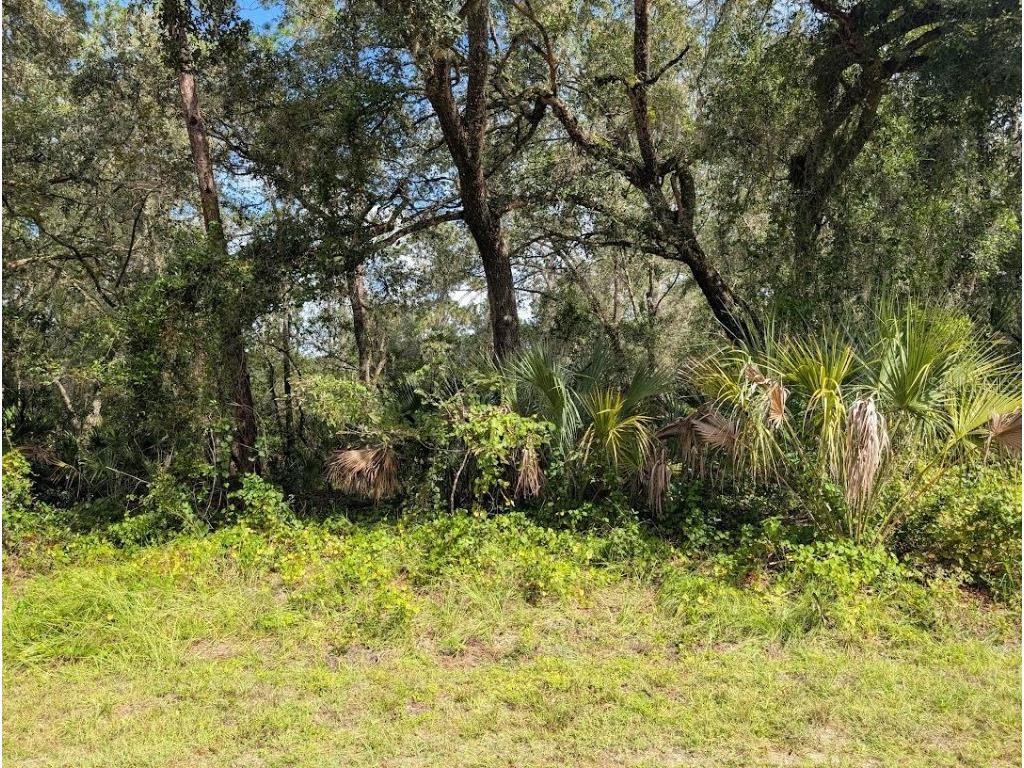 914 & 916 Poinciana Drive Indian Lake Estates FL 33855 - LAKE WALK-IN-WATER TB8433592 image4