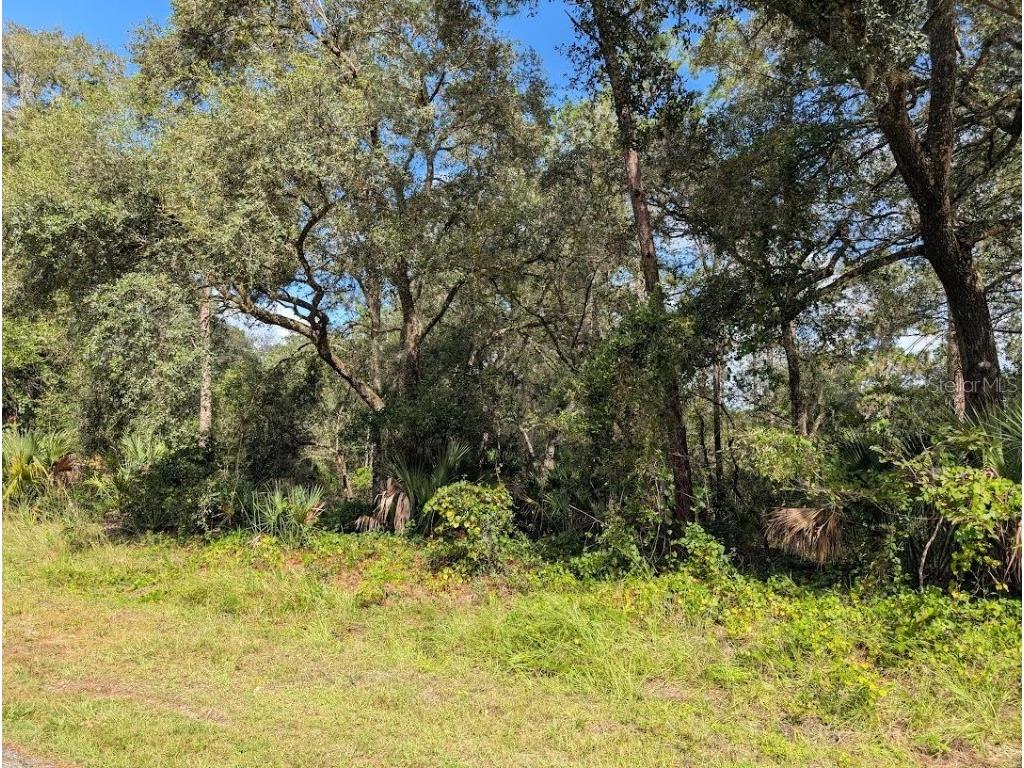 914 & 916 Poinciana Drive Indian Lake Estates FL 33855 - LAKE WALK-IN-WATER TB8433592 image8