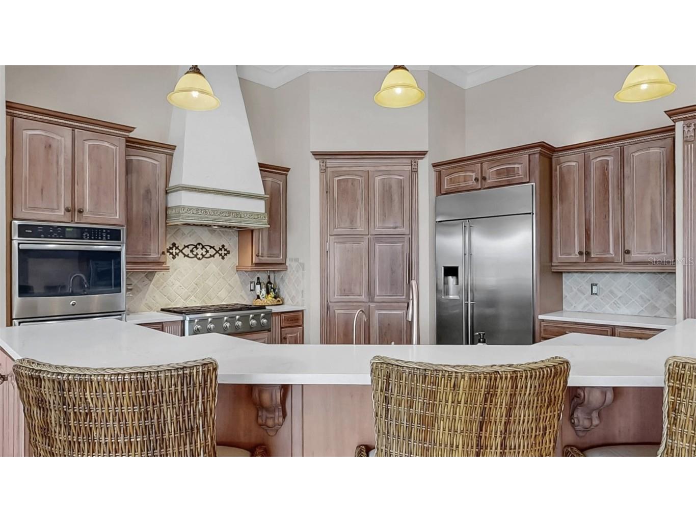 914 Capriccio Lane Apollo Beach FL 33572 TB8420372 image21