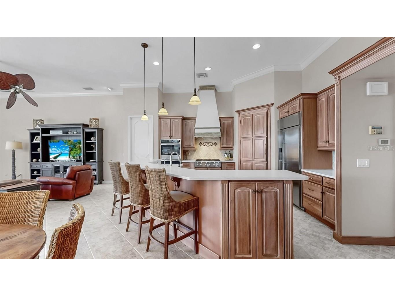 914 Capriccio Lane Apollo Beach FL 33572 TB8420372 image24