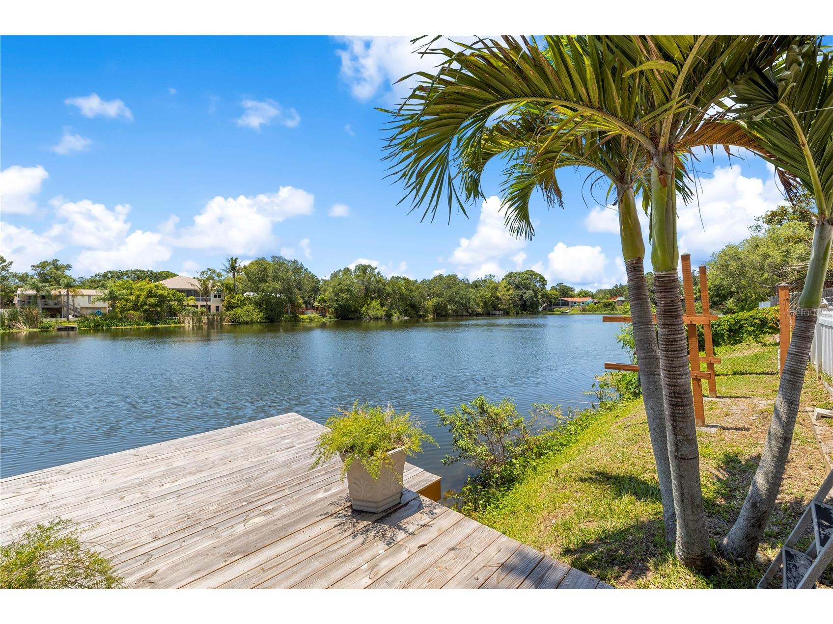 914 Carlton Road Tarpon Springs FL 34689 - GULFVIEW LAKE TB8518821 image37