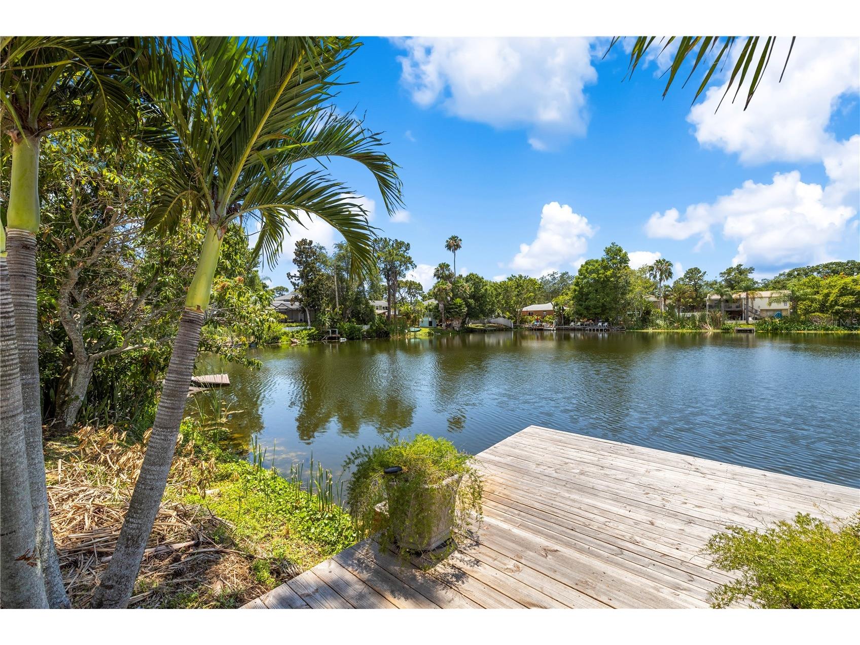 914 Carlton Road Tarpon Springs FL 34689 - GULFVIEW LAKE TB8518821 image38