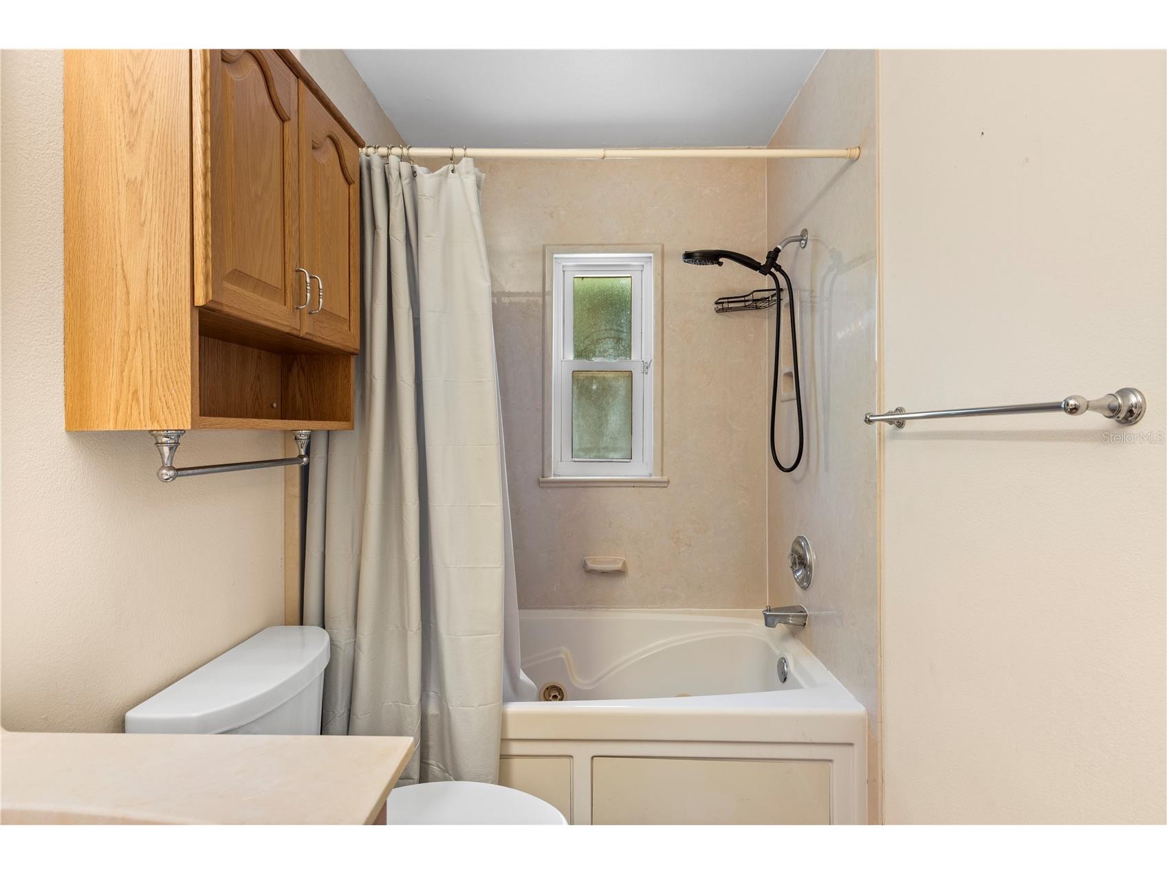 914 Carlton Road Tarpon Springs FL 34689 - GULFVIEW LAKE TB8518821 image7