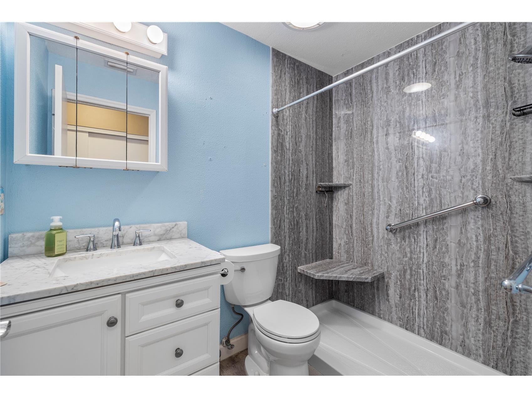 914 Carlton Road Tarpon Springs FL 34689 - GULFVIEW LAKE TB8518821 image8