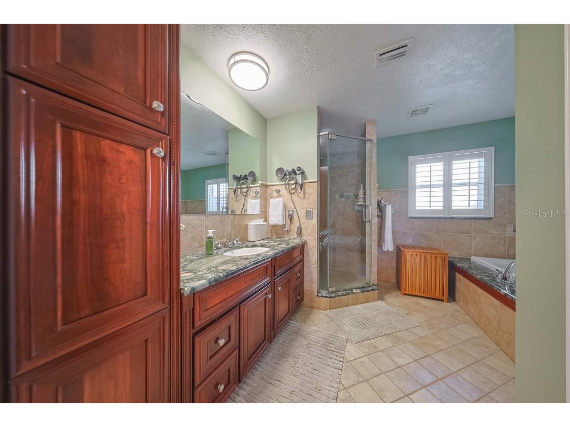 914 Chipaway Drive Apollo Beach FL 33572 TB8448642 image18