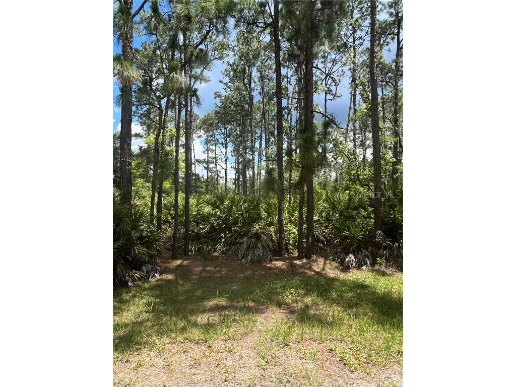 914 Gaillardia Drive Indian Lake Estates FL 33855 - LAKE WALK-IN-WATER T3450954 image1