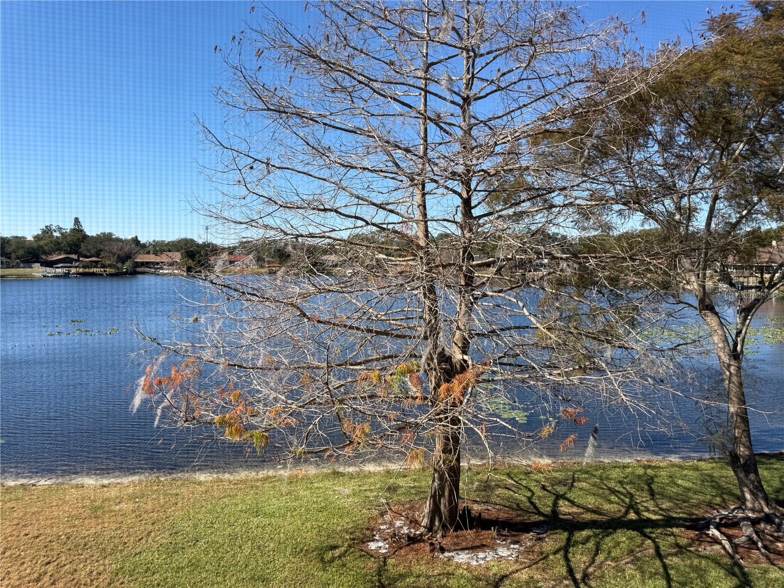 914 Lake Destiny Road #F Altamonte Springs FL 32714 O6379059 image16