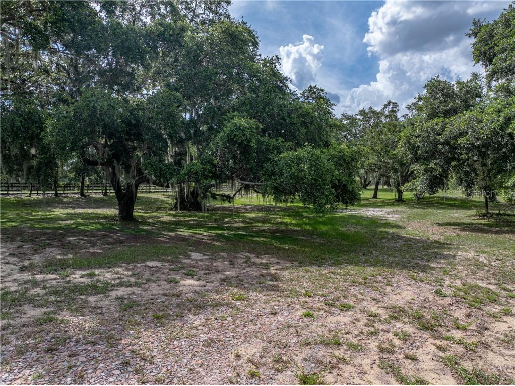 914 Mangham Road Babson Park FL 33827 - Crooked Lake P4935251 image64