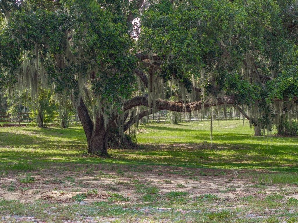 914 Mangham Road Babson Park FL 33827 - Crooked Lake P4935251 image65