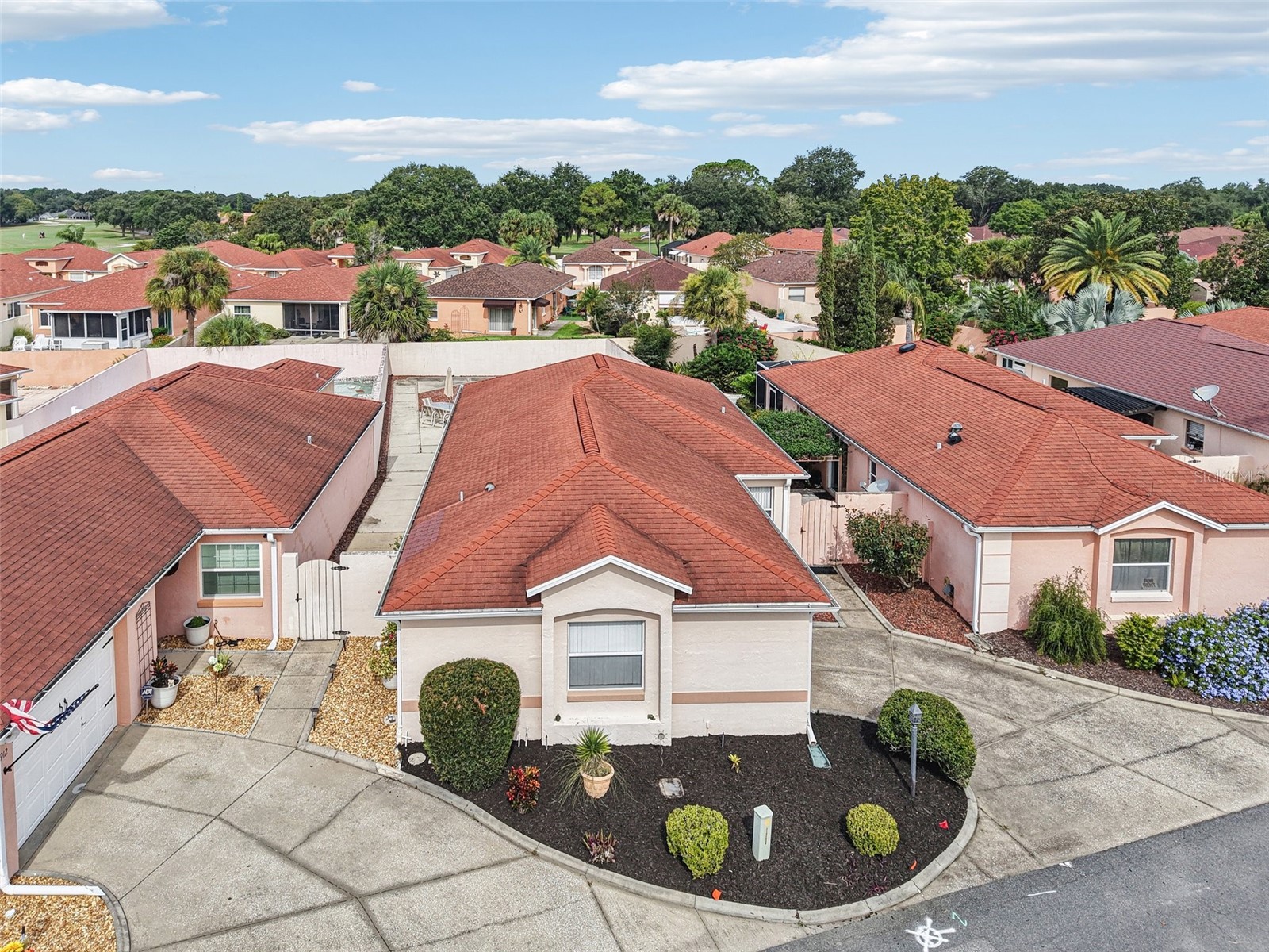 914 Mendoza Boulevard The Villages FL 32159 G5113136 image33