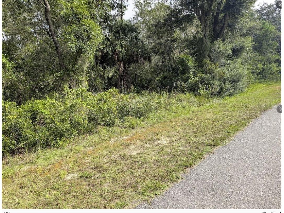 914 Poinciana Drive Indian Lake Estates FL 33855 - LAKE WALK-IN-WATER P4938376 image1