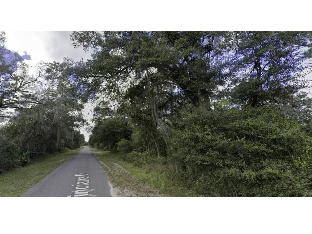 914 Poinciana Drive Indian Lake Estates FL 33855 - LAKE WALK-IN-WATER P4938376 image4