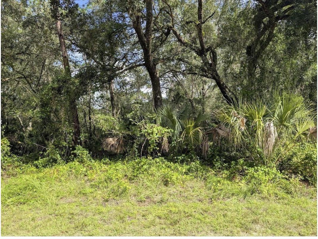 914 Poinciana Drive Indian Lake Estates FL 33855 - LAKE WALK-IN-WATER P4938376 image5