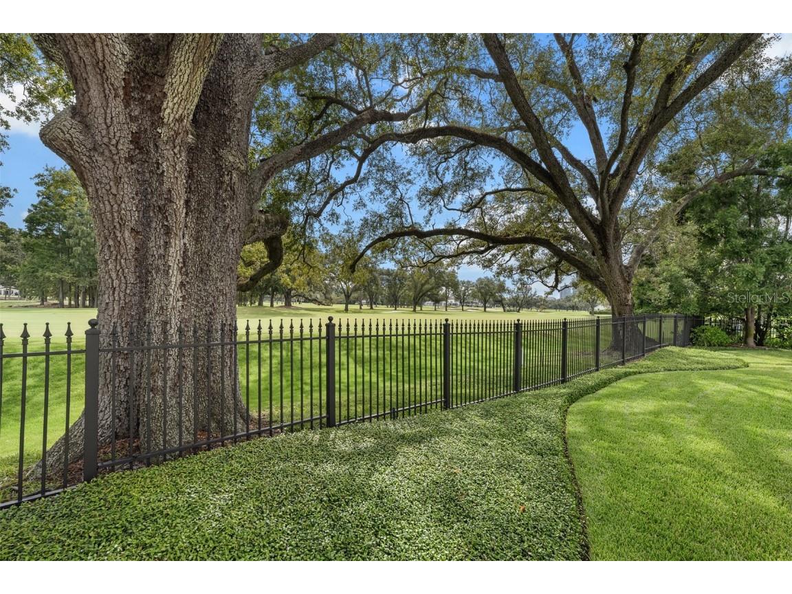 914 S Golf View Street Tampa FL 33629 TB8430984 image23