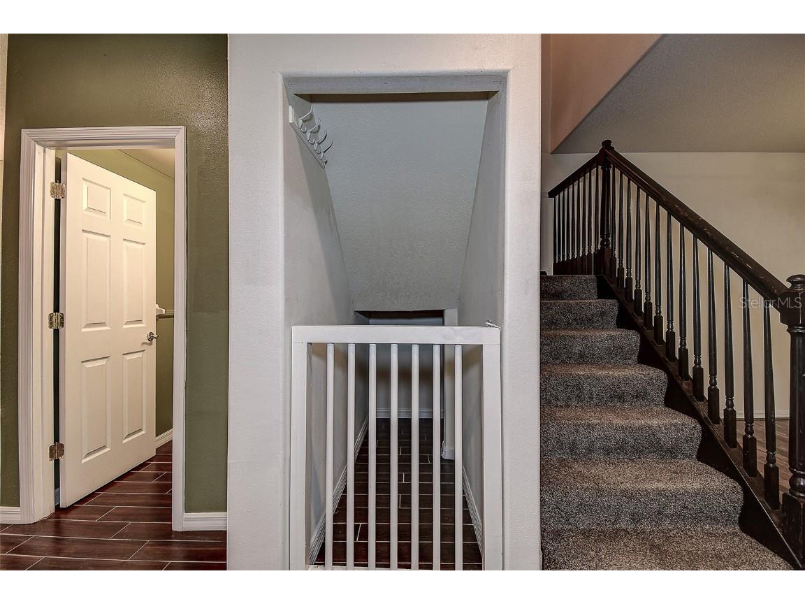 914 Woodbridge Court Safety Harbor FL 34695 TB8440457 image19