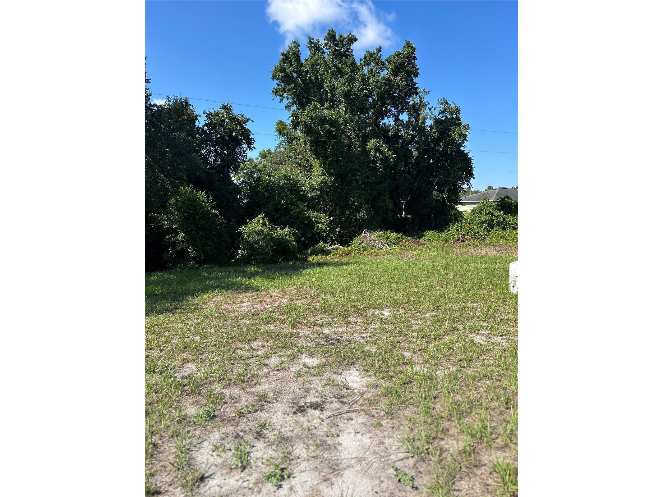 9140 Cypresswood Drive Lake Wales FL 33898 P4939141 image5