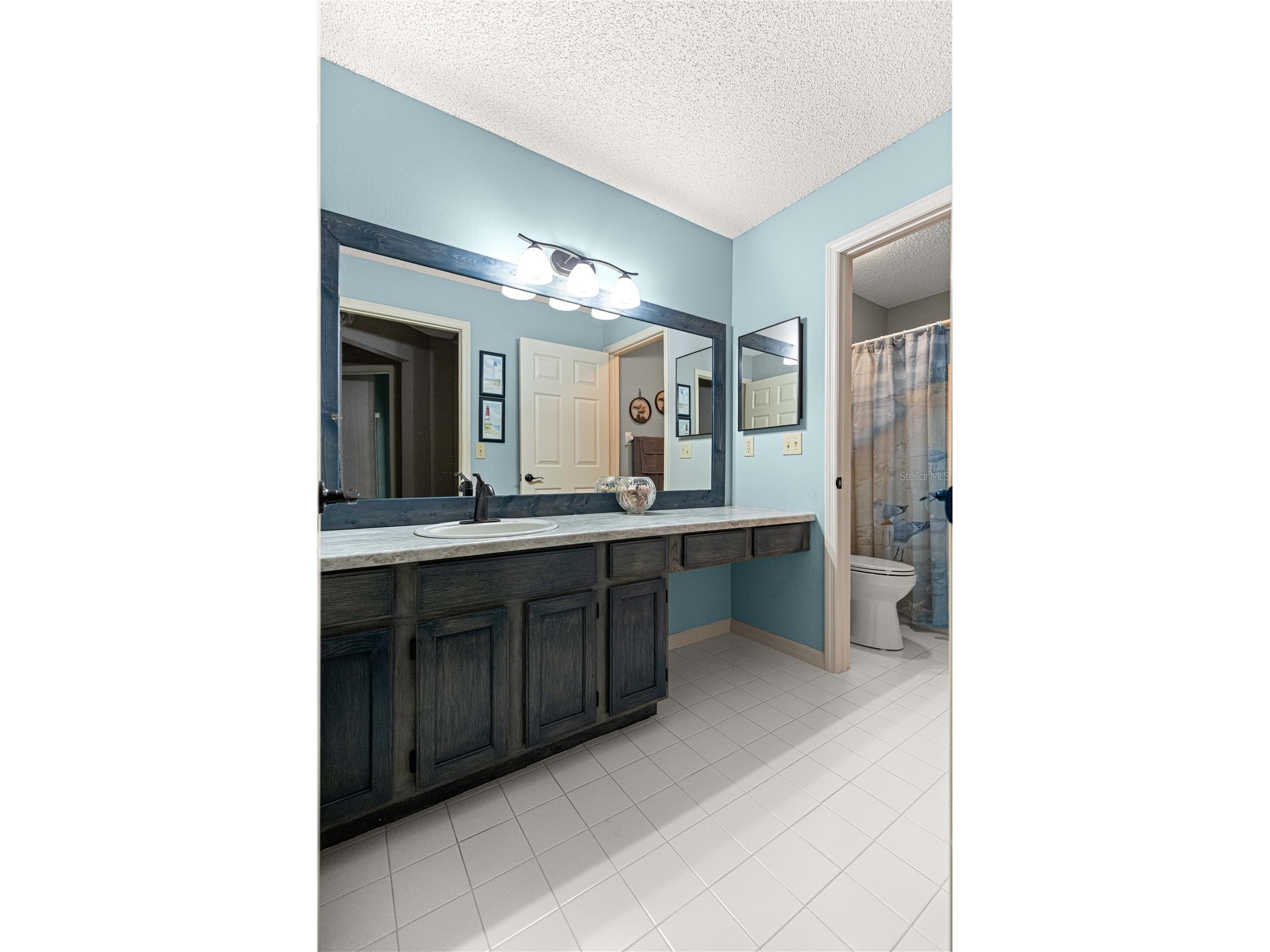 9141 SW 91st Circle Ocala FL 34481 OM716389 image11