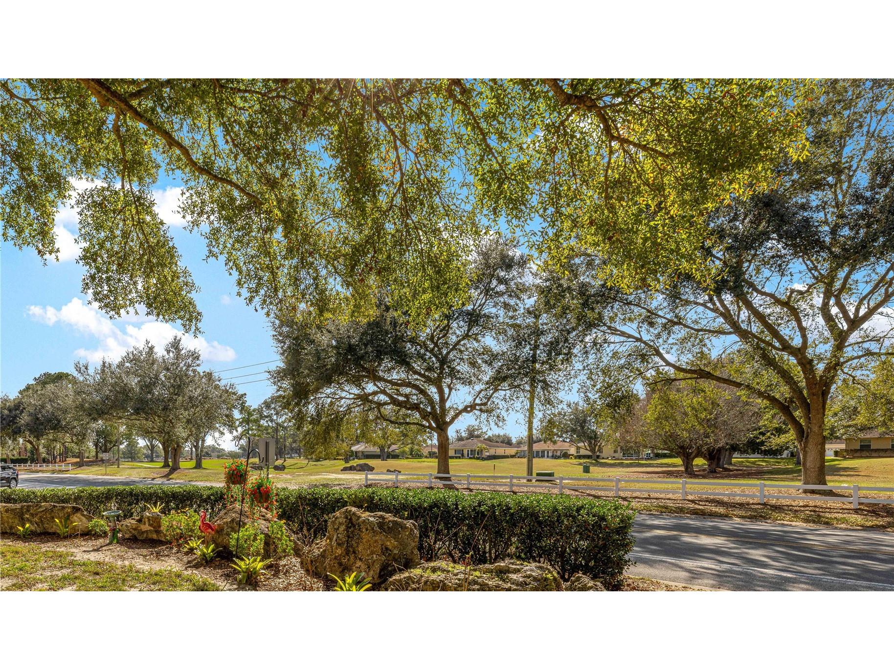 9141 SW 91st Circle Ocala FL 34481 OM716389 image49