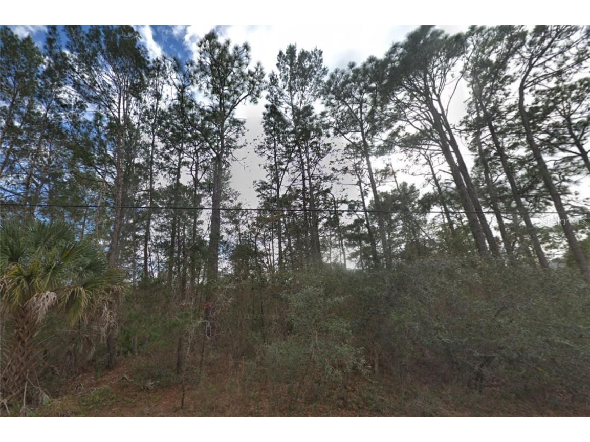 9142 Michigan Avenue Weeki Wachee FL 34613 W7866234 image1