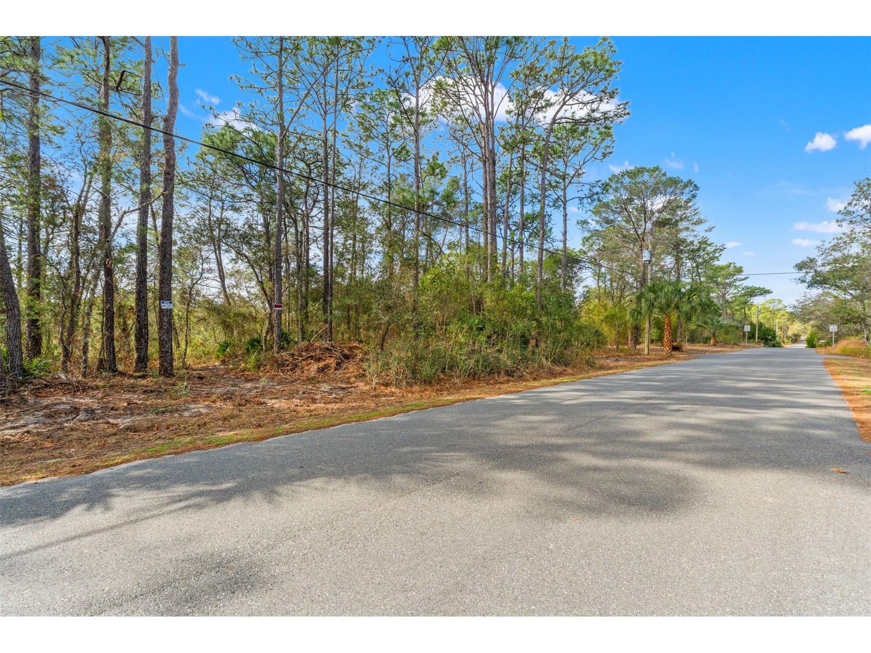 9142 Michigan Avenue Weeki Wachee FL 34613 W7882984 image1