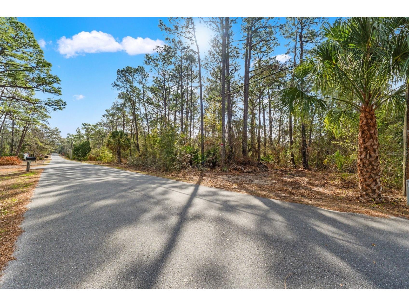 9142 Michigan Avenue Weeki Wachee FL 34613 W7882984 image2