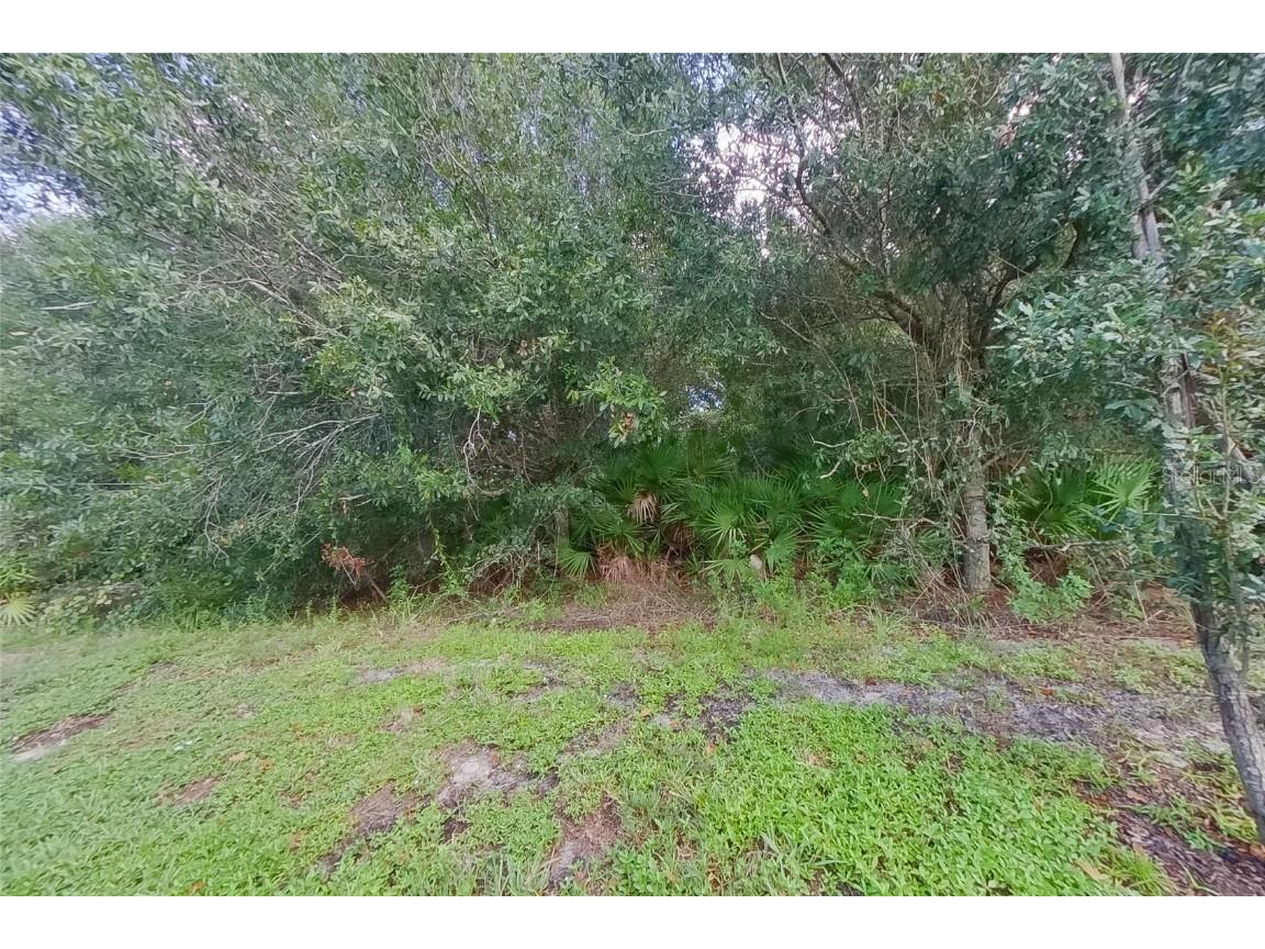 9143 Aegean Circle Lehigh Acres FL 33936 O6361909 image23