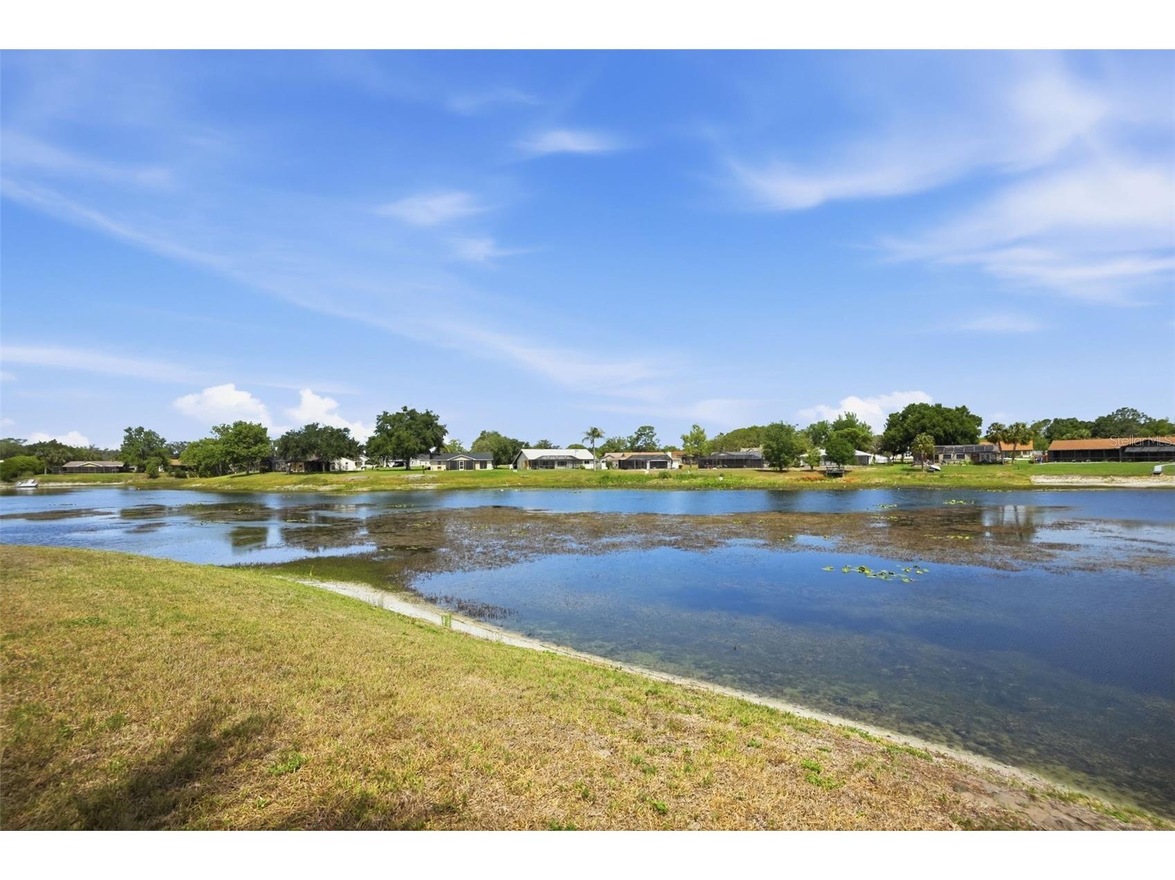9143 Lingrove Road Weeki Wachee FL 34613 TB8505085 image64