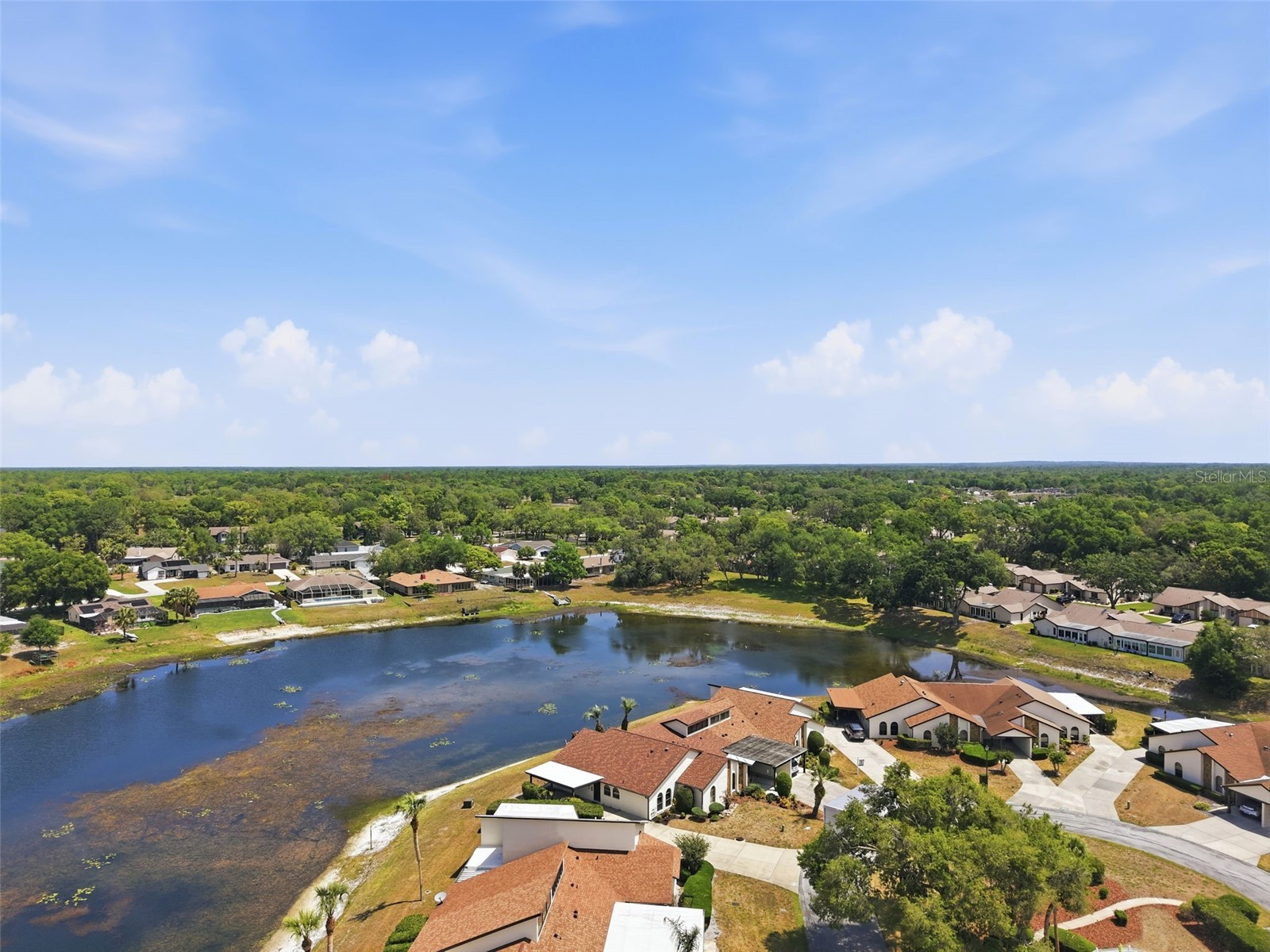 9143 Lingrove Road Weeki Wachee FL 34613 TB8505085 image70
