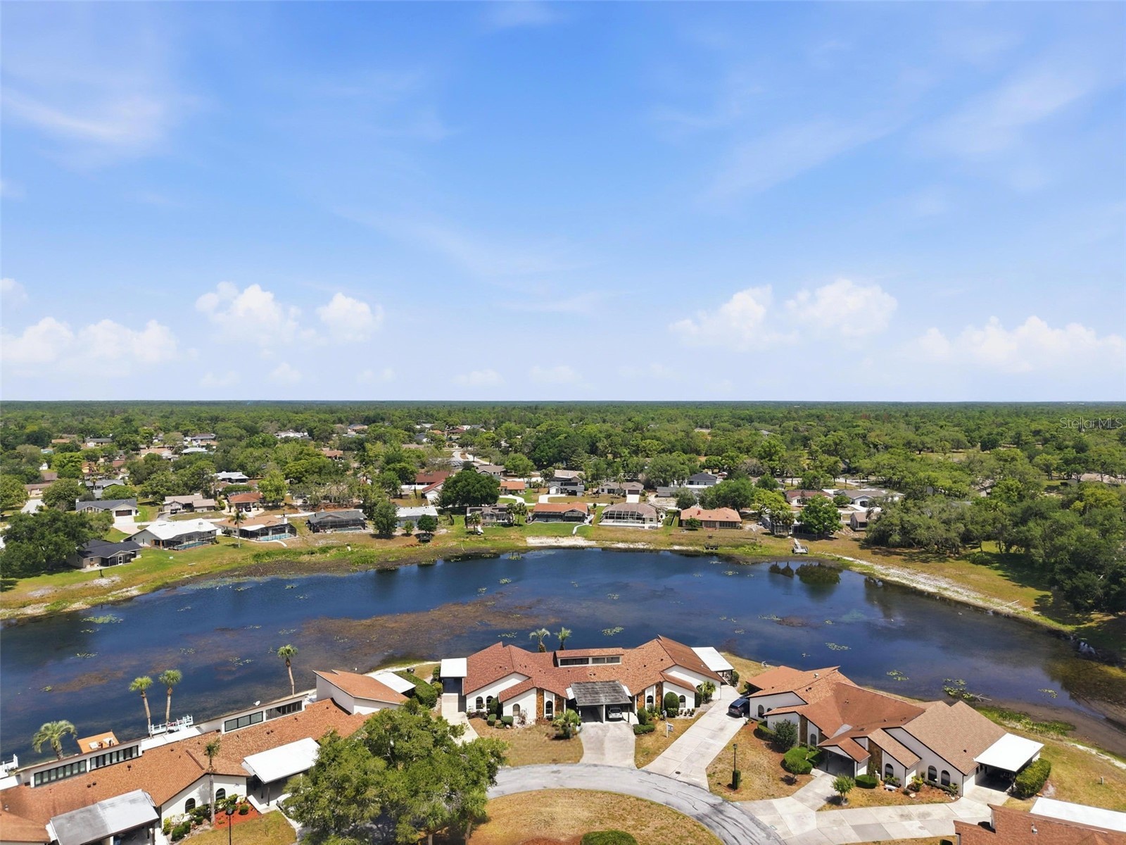 9143 Lingrove Road Weeki Wachee FL 34613 TB8505085 image71