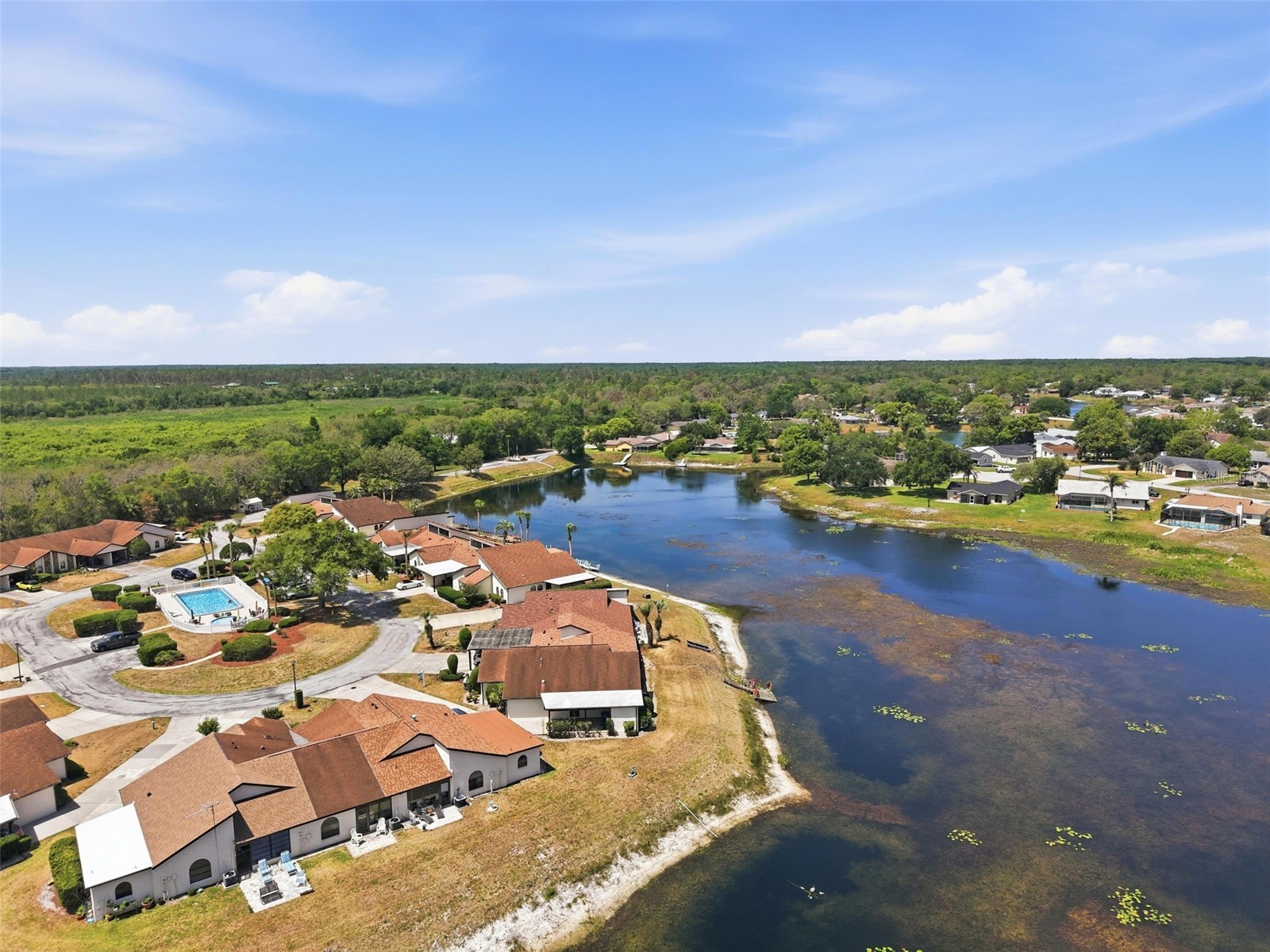 9143 Lingrove Road Weeki Wachee FL 34613 TB8505085 image73