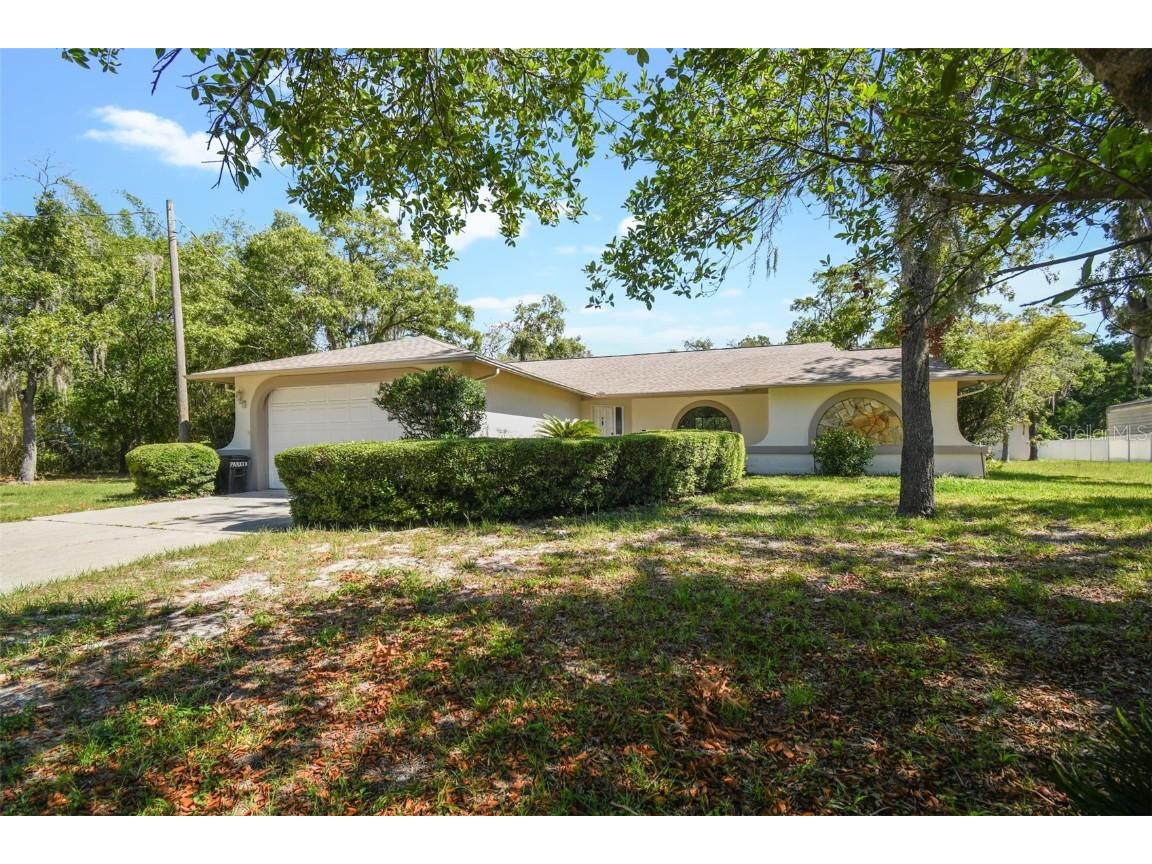 9145 Bullrush Court New Port Richey FL 34654 U8244090 image1