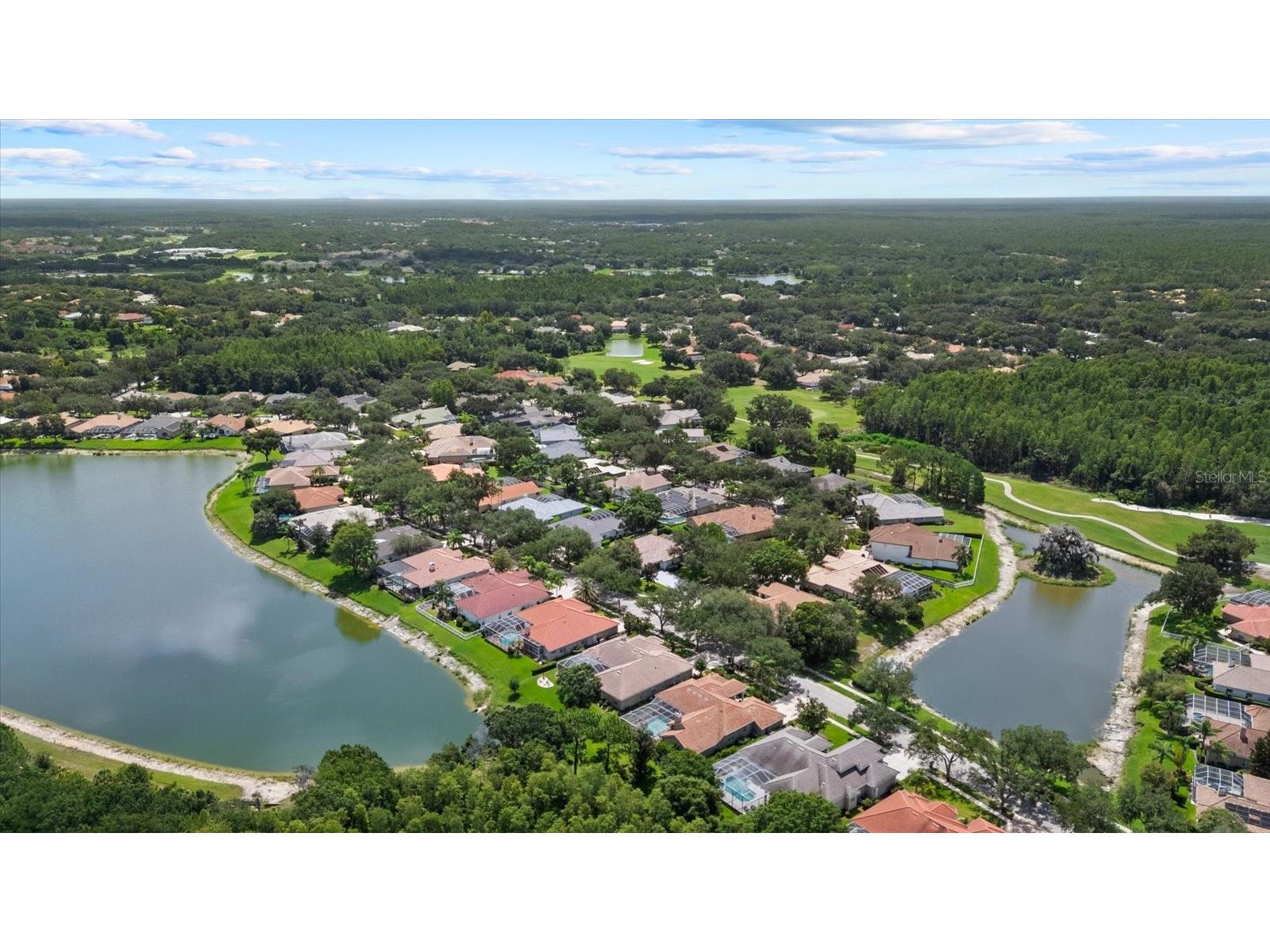 9145 Highland Ridge Way Tampa FL 33647 TB8529928 image41