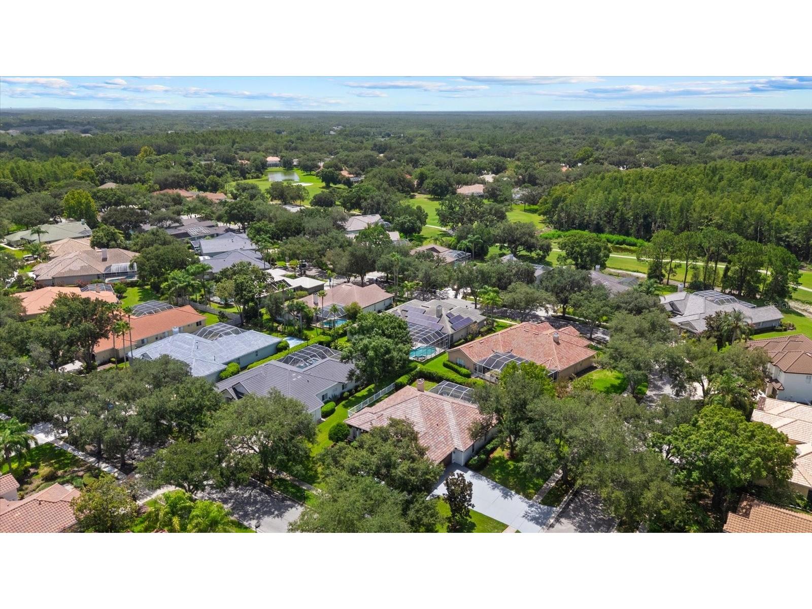 9145 Highland Ridge Way Tampa FL 33647 TB8529928 image44