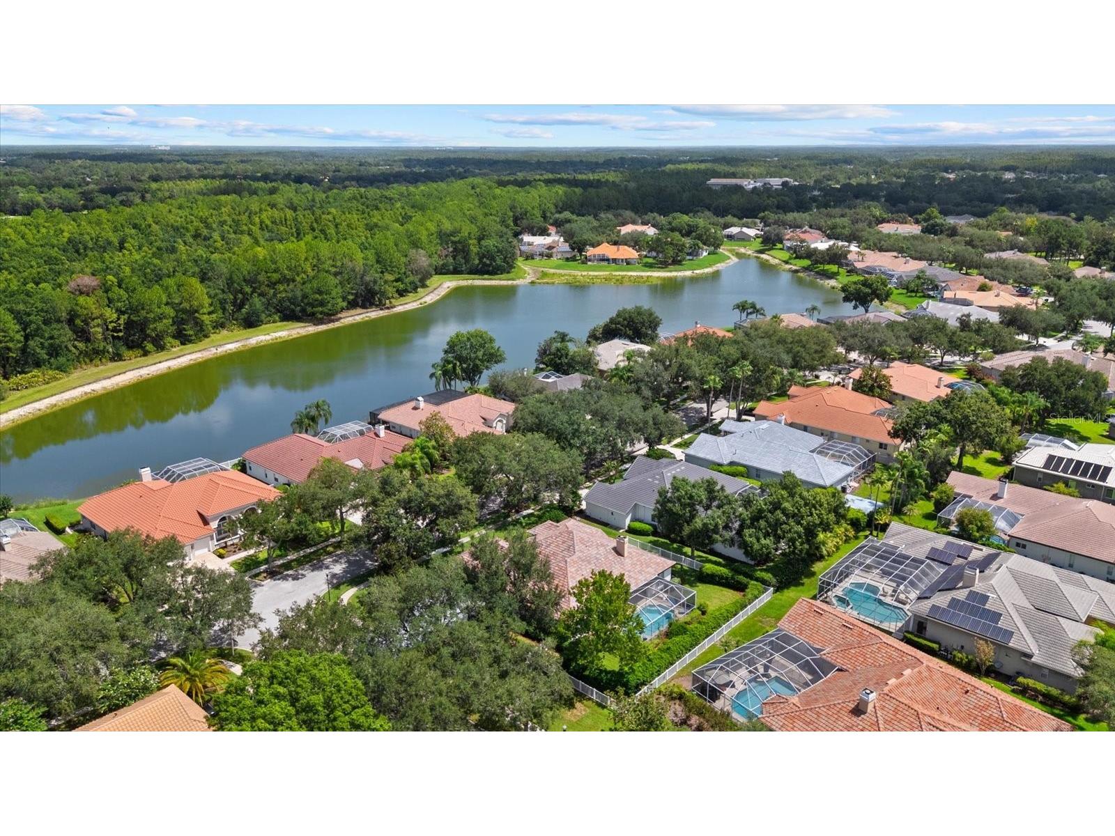 9145 Highland Ridge Way Tampa FL 33647 TB8529928 image46
