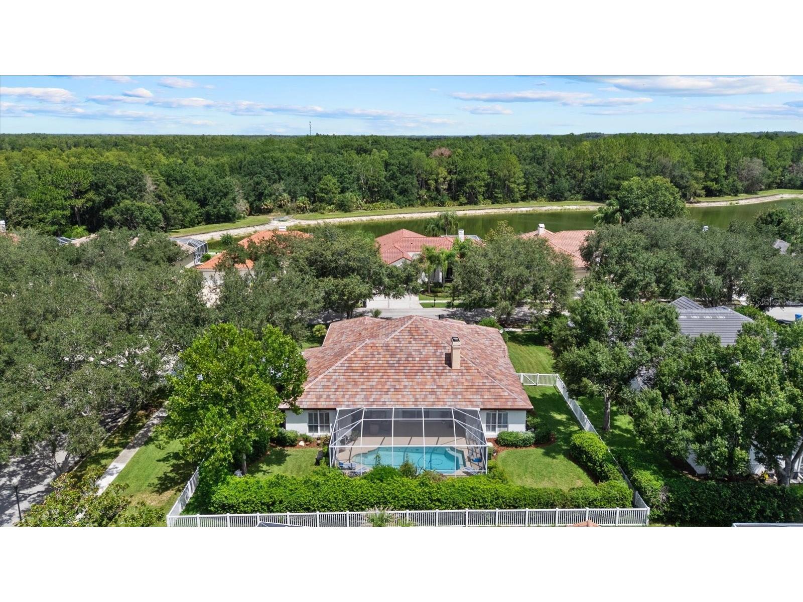 9145 Highland Ridge Way Tampa FL 33647 TB8529928 image47