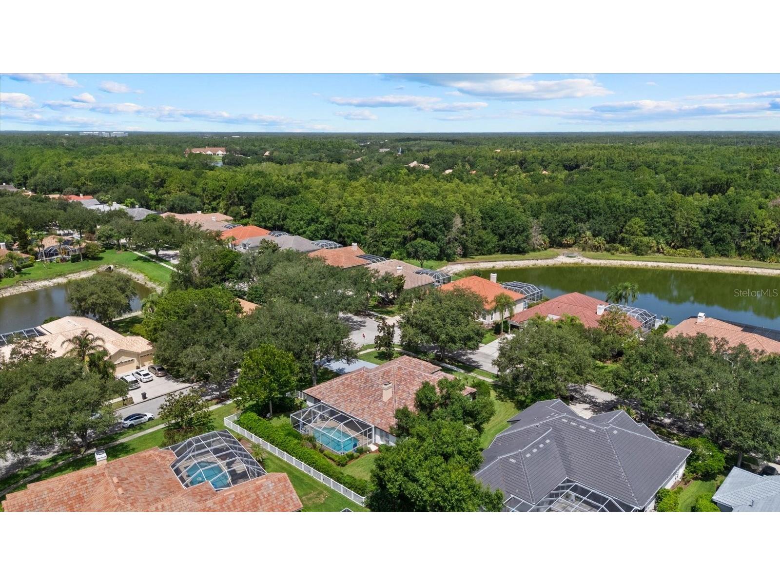 9145 Highland Ridge Way Tampa FL 33647 TB8529928 image48