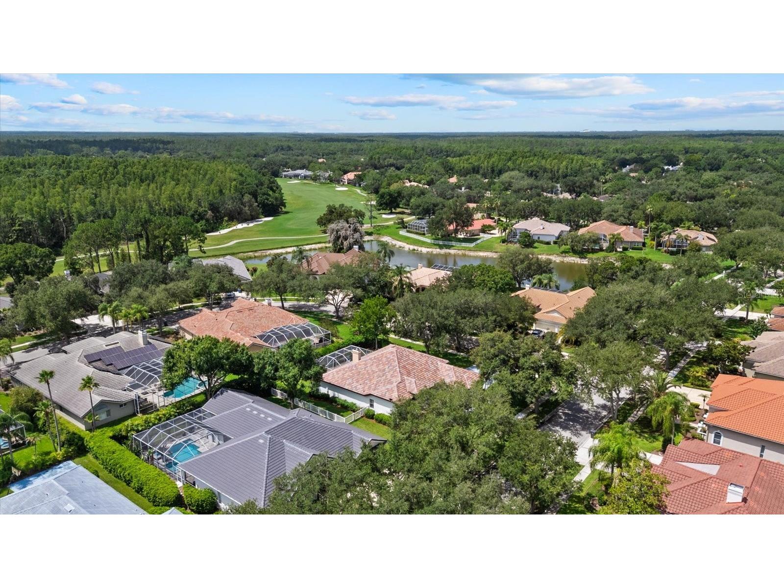 9145 Highland Ridge Way Tampa FL 33647 TB8529928 image49