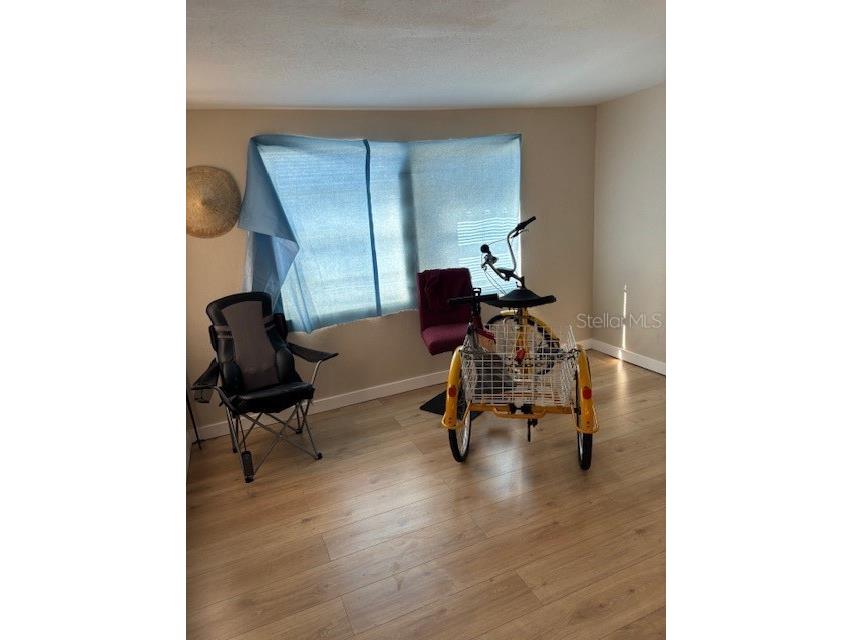 9145 Rally Lane Holiday FL 34690 TB8496481 image12